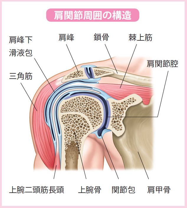 2_14_1_fig1[1].png